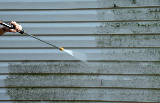 Best Building Exterior Washing  in Bluewell, WV